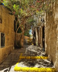 Narrow alley amidst buildings