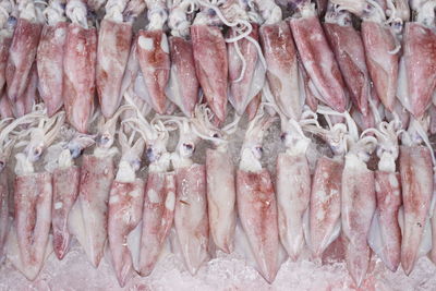 Close-up of fish in market