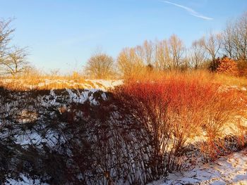 Snow covered landscape against sky