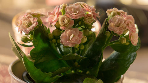 Close-up of rose bouquet