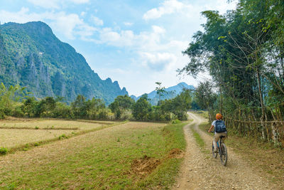 Rear view of person riding bicycle on road