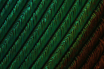 Full frame shot of palm plants