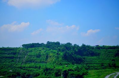 Scenic view of trees against sky