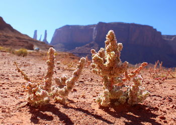 View of rock formation on land against sky