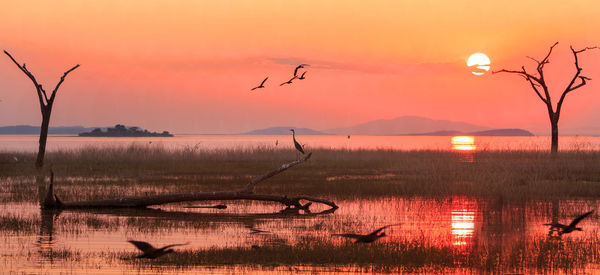 Scenic view of lake against sky during sunset