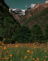 Scenic view of mountains against sky