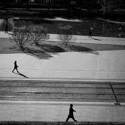 People walking on street against trees