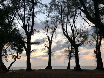 Silhouette trees on field against sky during sunset