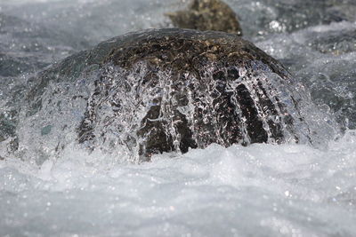 Close-up of frozen water on rock