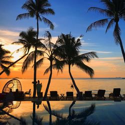 Silhouette palm tree by swimming pool against sky during sunset