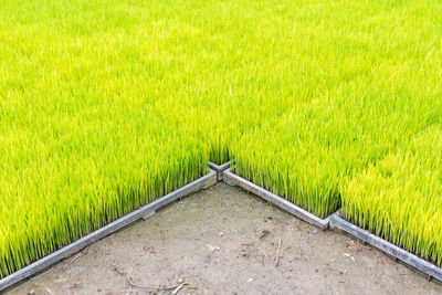 View of rural landscape