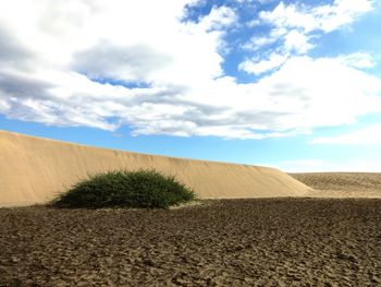 Scenic view of desert against sky