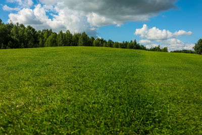 Scenic view of field against sky