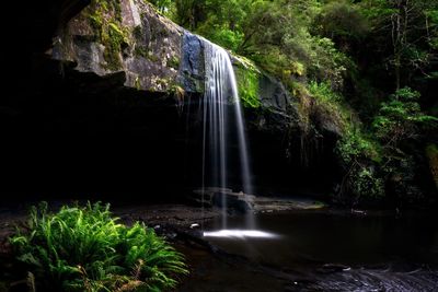 Scenic view of waterfall in forest