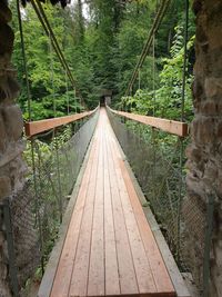 Footbridge amidst trees in forest