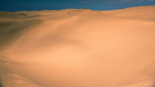 Scenic view of desert