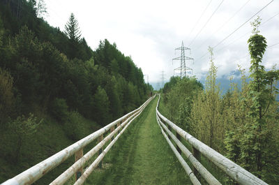 View of green pathway in south tyrol