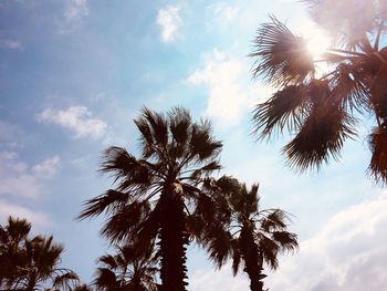 Low angle view of silhouette coconut palm trees against sky