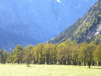 Scenic view of trees on field against mountains