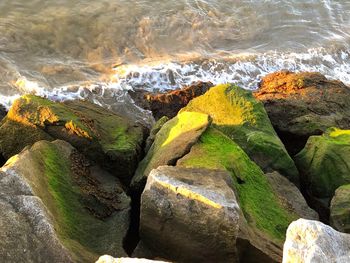 Rocks on beach