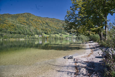 Scenic view of lake by trees against sky