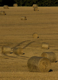 Hay bales on field