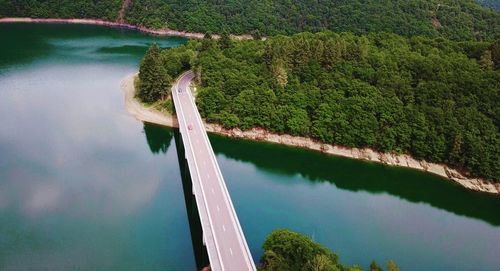 High angle view of river amidst trees