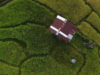 High angle view of green field