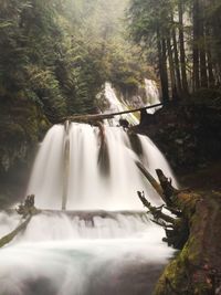 Waterfall in forest