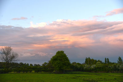 Scenic view of field against sky during sunset