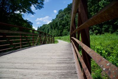 Wooden footbridge along trees