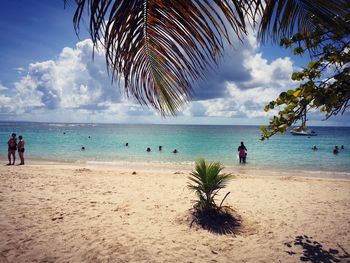 Scenic view of beach against sky