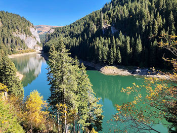 Scenic view of lake by trees in forest against sky