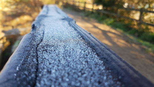 Close-up of wet blue tree