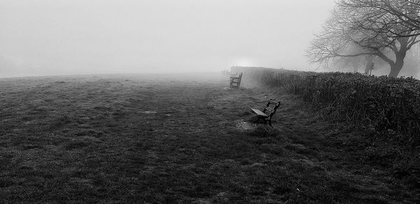 View of an animal on field against sky