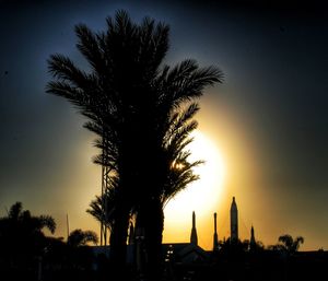 Silhouette palm trees at sunset