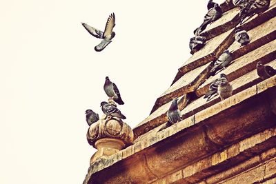 Low angle view of statue