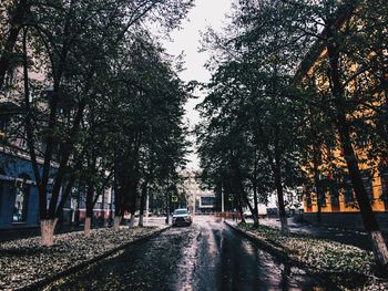 Wet country road amidst trees