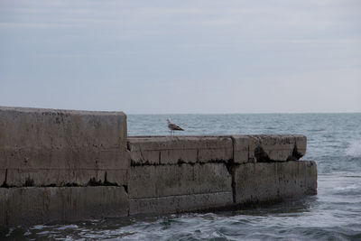 Birds perching by sea against sky