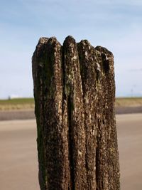 Close-up of wooden post at sandy beach against sky