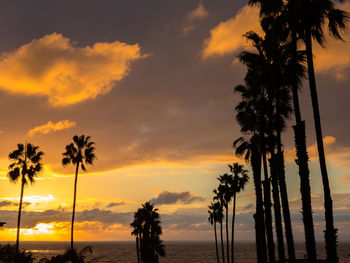 Palm trees on beach against sky during sunset