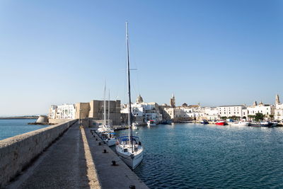 Sailboats moored in harbor