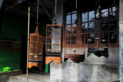 View of bird cage