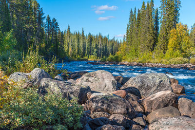 Scenic view of rocks in river against sky