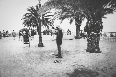 People on palm trees at beach against sky