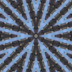 Full frame shot of ceiling