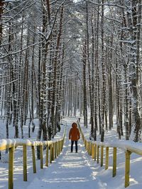 Rear view of man walking on snow covered land