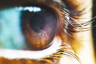 Close-up of human eye