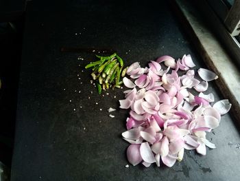 High angle view of pink flowering plant