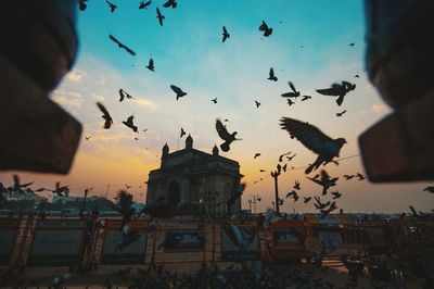 Low angle view of silhouette birds flying against gateway to india
